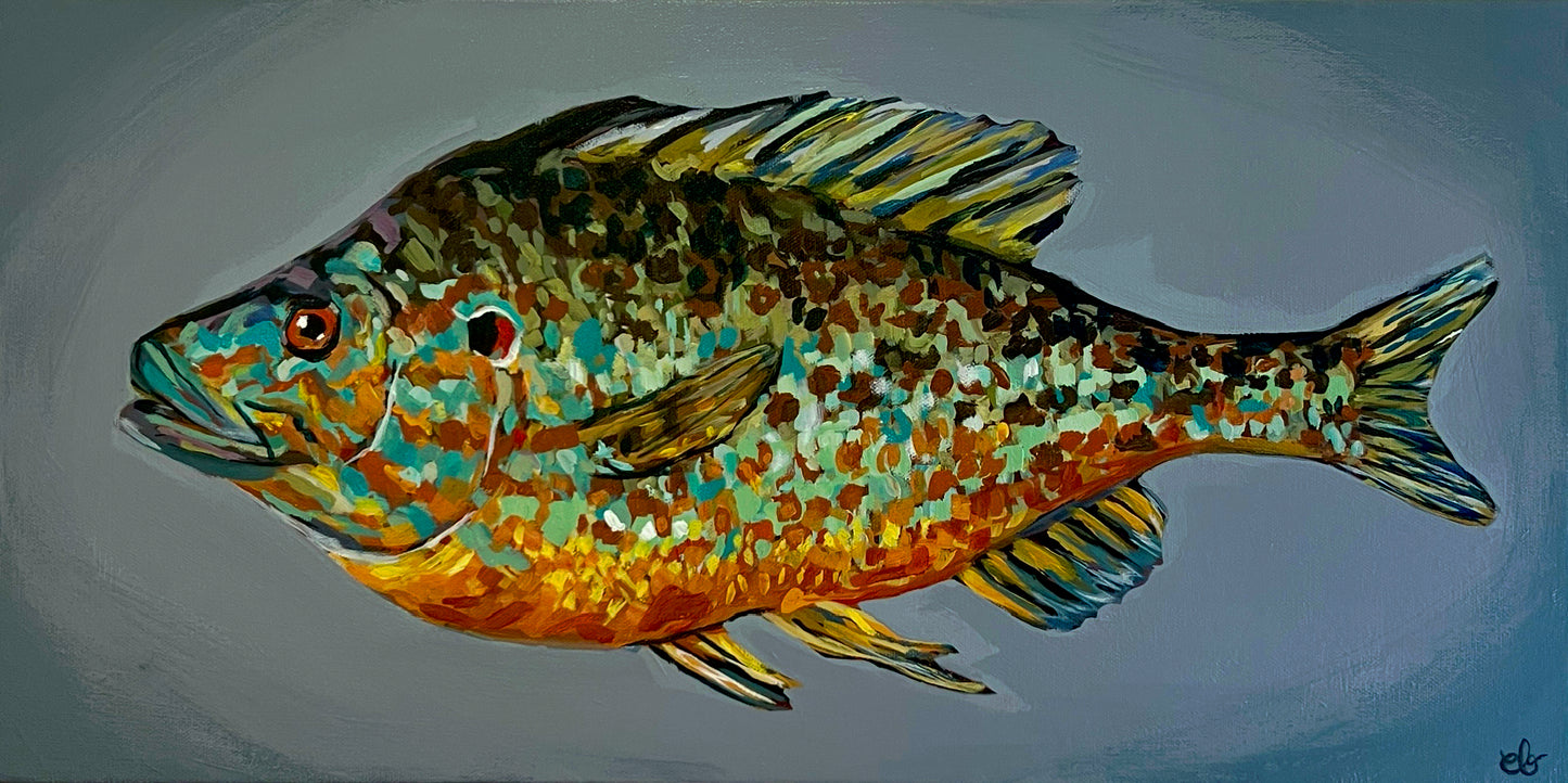 Flashy Fish - Pumpkinseed Original Painting